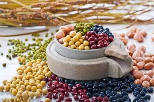 九种补钙食品，妈妈一定要知道，后悔看晚了